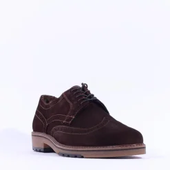 Ara Men Alessio Suede Wingtip Brogue - Brown Suede