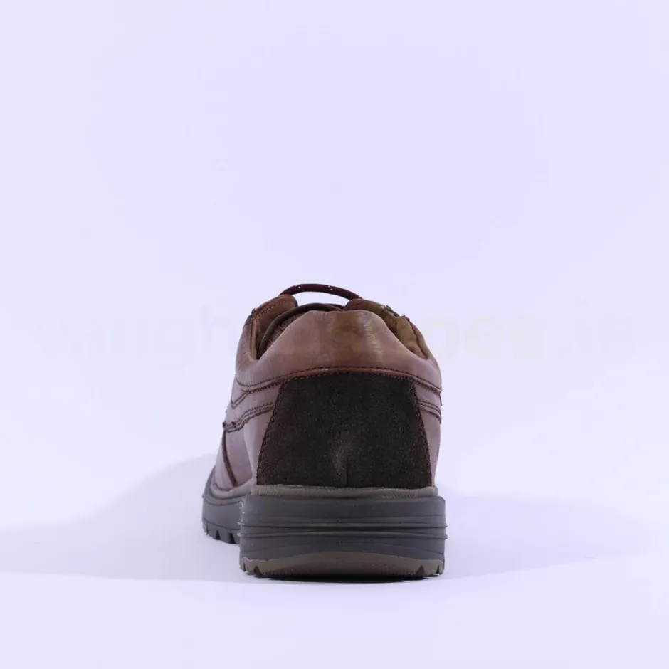 Dubarry Men Brennan - Brown