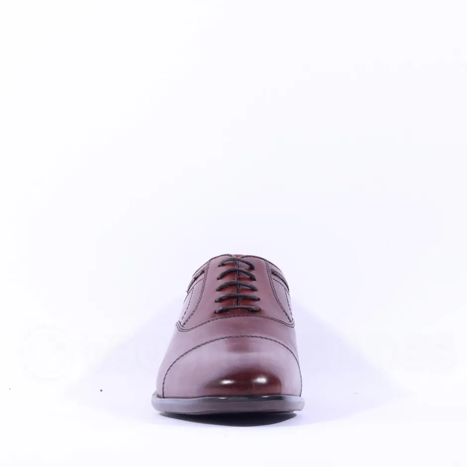 Dubarry Men Darly Toe Cap Oxford Shoe - Chestnut