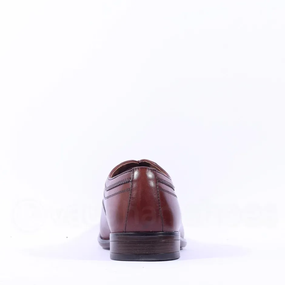 Dubarry Men Darly Toe Cap Oxford Shoe - Chestnut