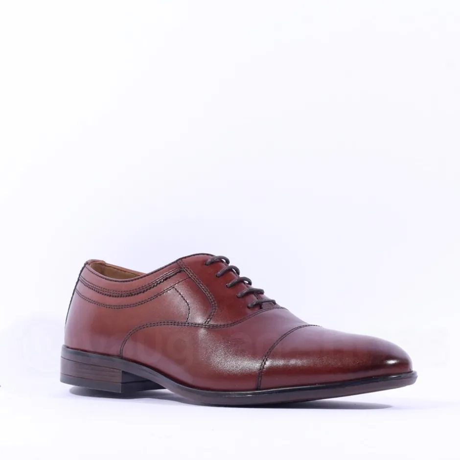 Dubarry Men Darly Toe Cap Oxford Shoe - Chestnut