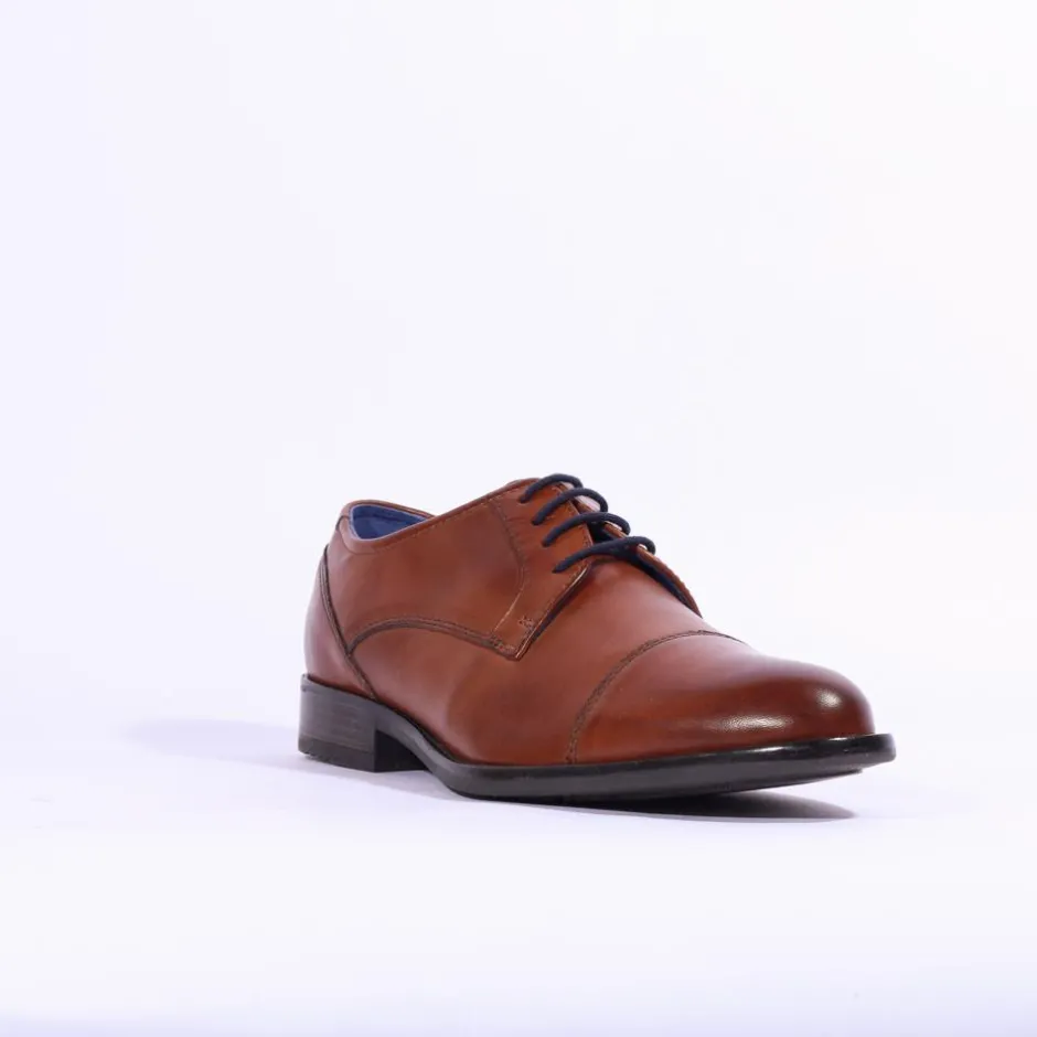 Dubarry Men Derek - Tan