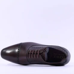 Tommy Bowe Galthie Toe Cap Oxford Shoe - Chestnut Leather