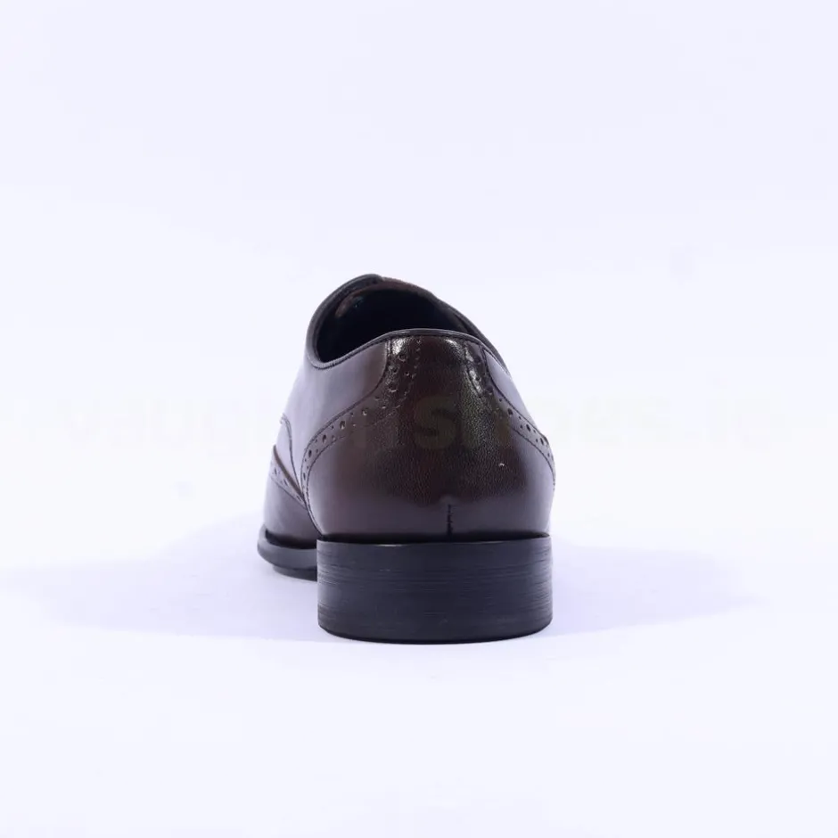 Tommy Bowe Lavington Wing Tip Shoe - Brown Leather