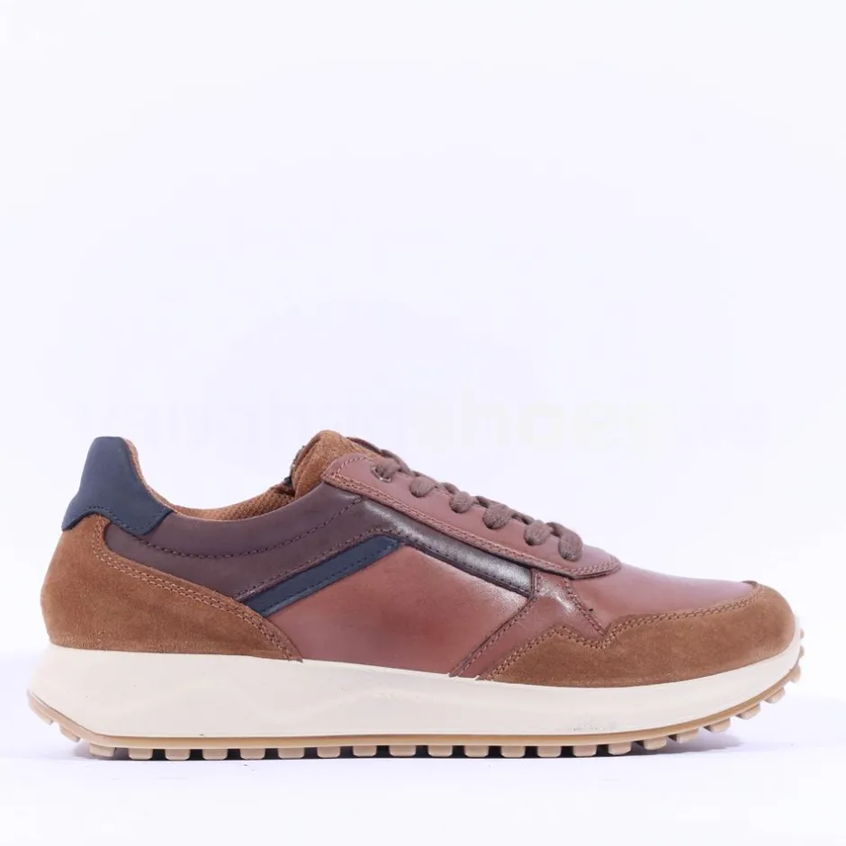 Ara Men Moreno Laced Casual Shoe - Tan Combi