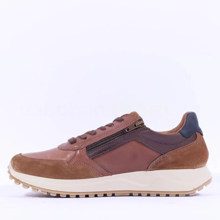 Ara Men Moreno Laced Casual Shoe - Tan Combi