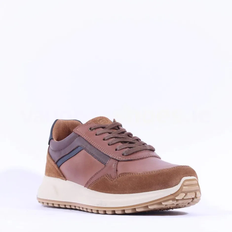 Ara Men Moreno Laced Casual Shoe - Tan Combi