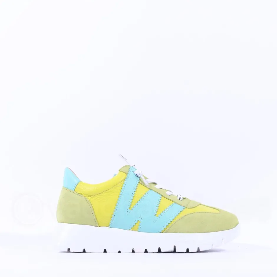 Women Wonders Racer 2 Tone Bungee Lace Trainer - Cyber