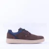 Tommy Bowe Ribbans Casual Shoe - Bourneville