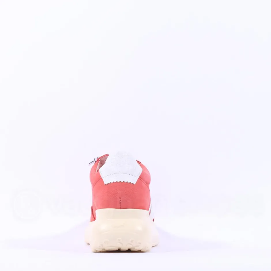 Women Wonders Samira Bungee Lace Wedge Trainer - Rust Nubuck