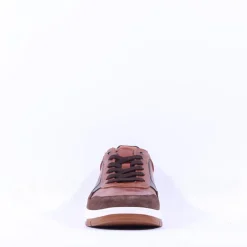 Dubarry Men Skater Laced Casual Shoe - Brown
