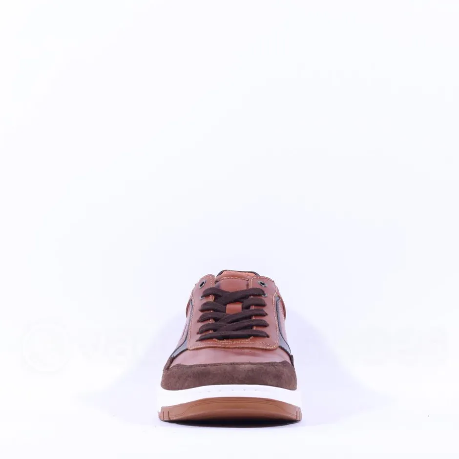 Dubarry Men Skater Laced Casual Shoe - Brown