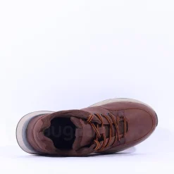 Dubarry Men Stamford Laced Walking Shoe - Brown